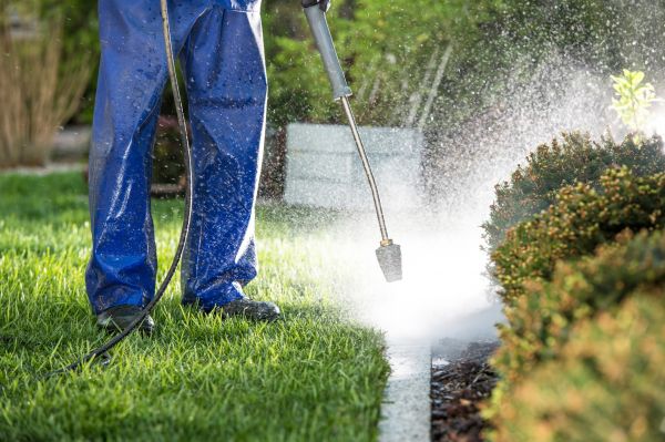 Curb Cleaning in Milton