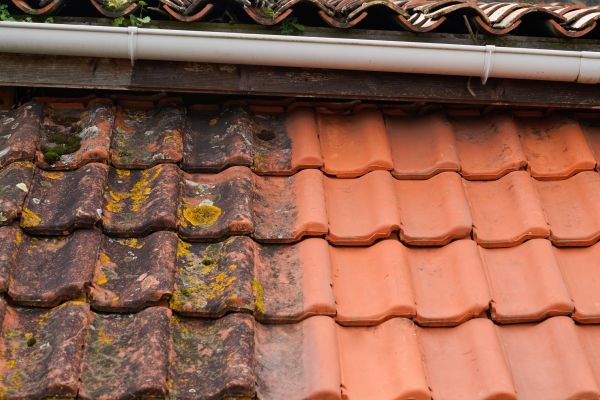 Industrial Roof Cleaning in Milton
