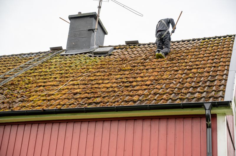 Roof Powerwashing